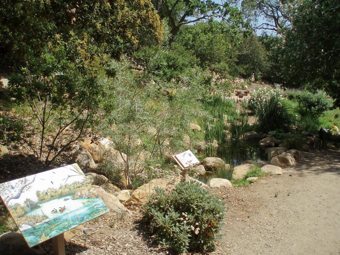 Discovery Garden