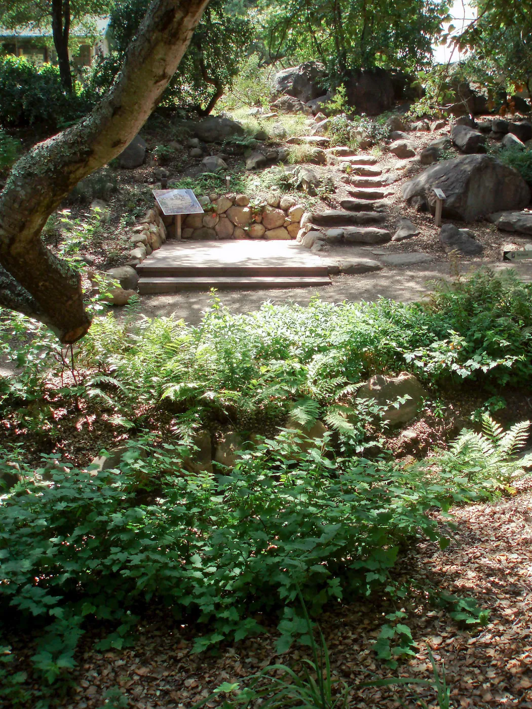 Discovery Garden