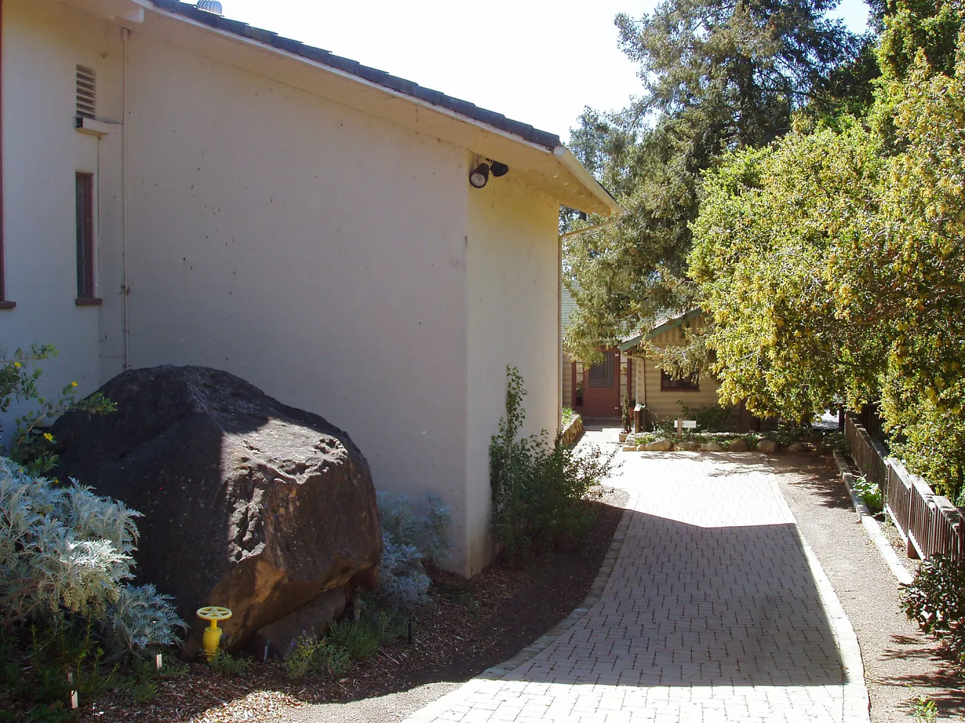 Herbarium west side from north