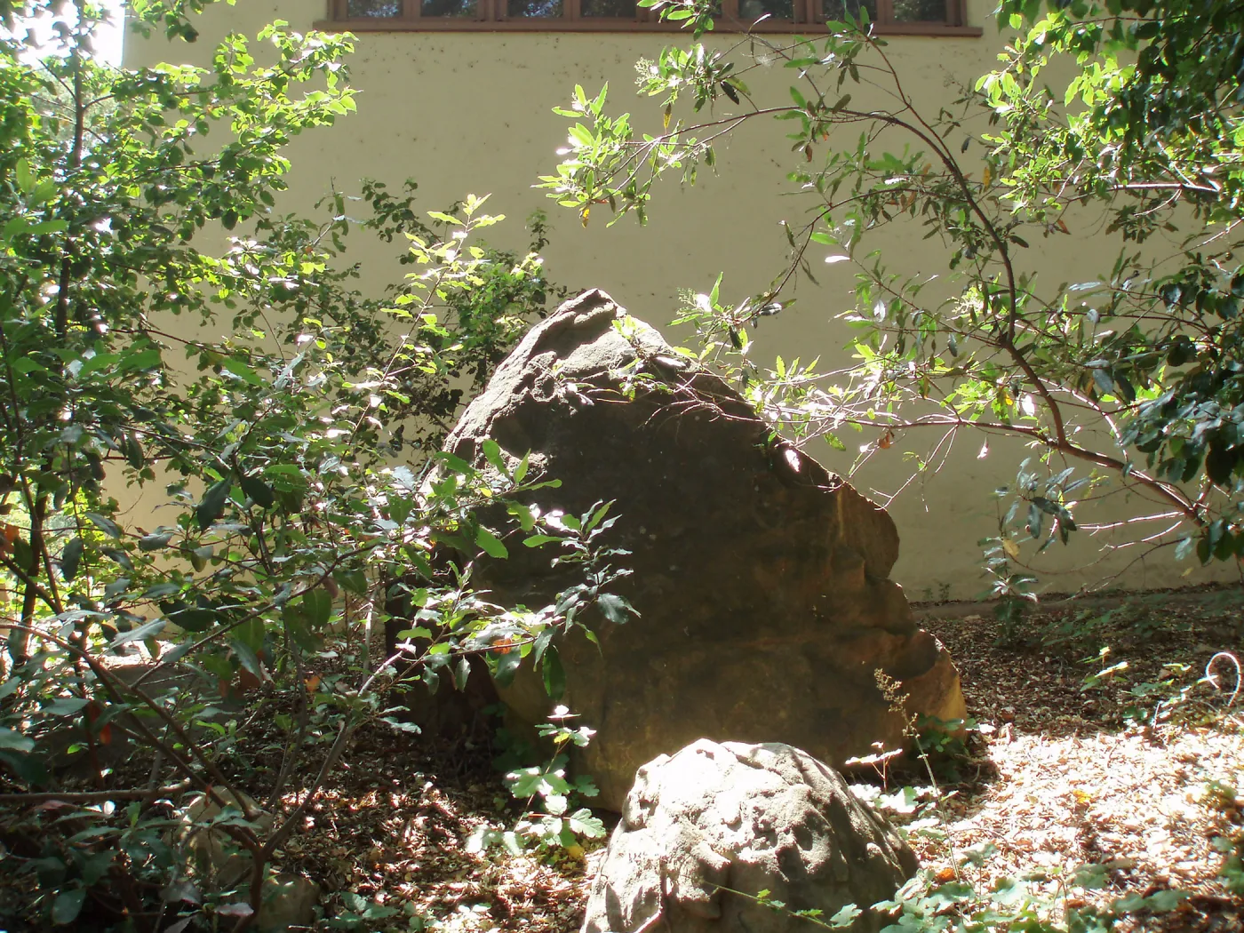 Boulder on east side of Herbarium