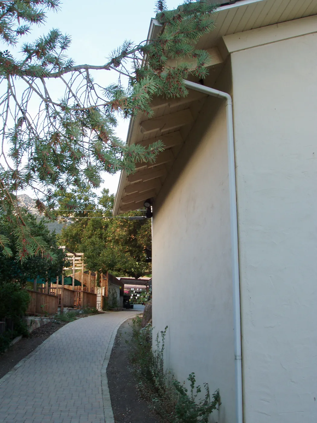 Herbarium south west corner