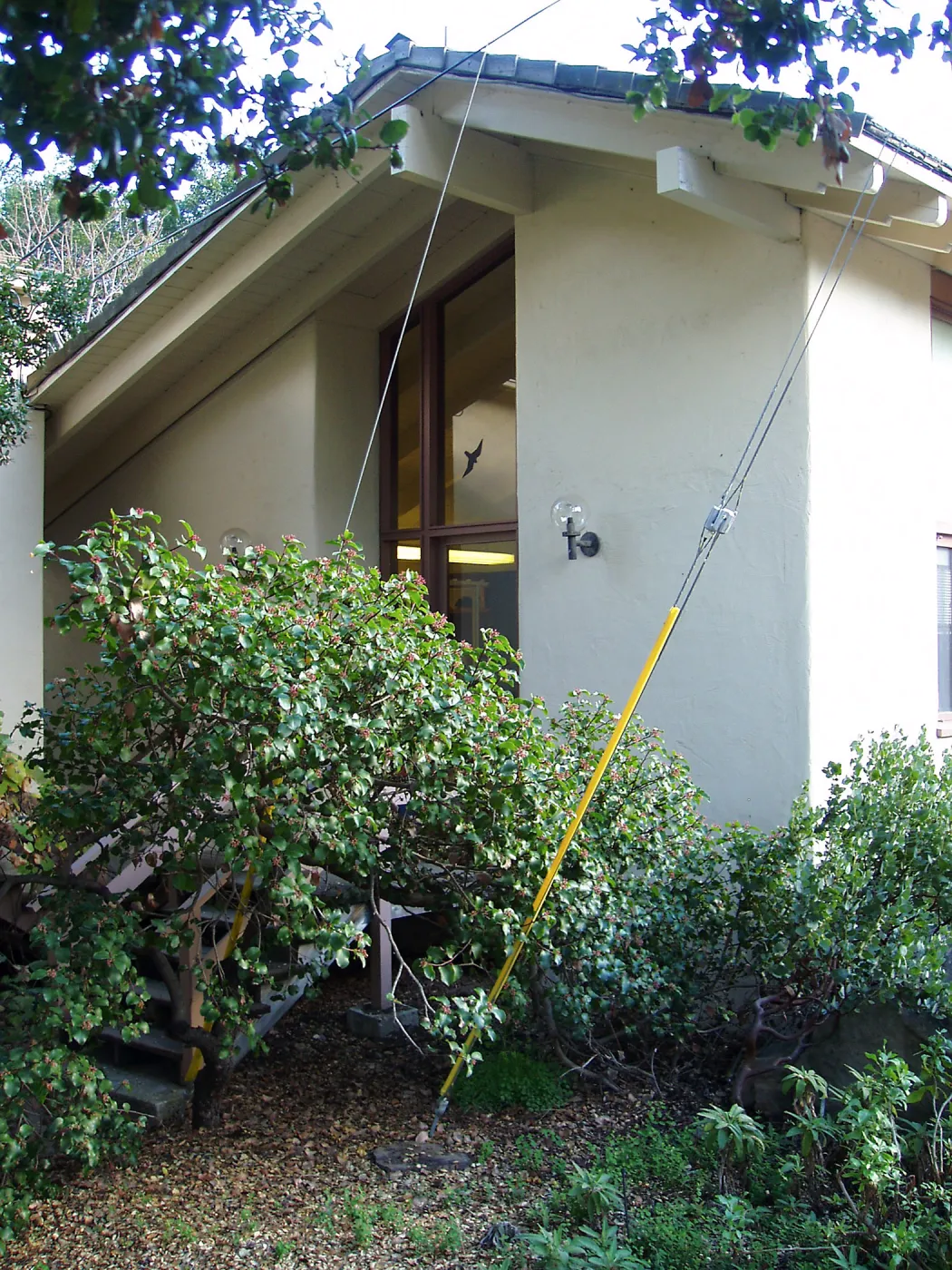 Herbarium north side