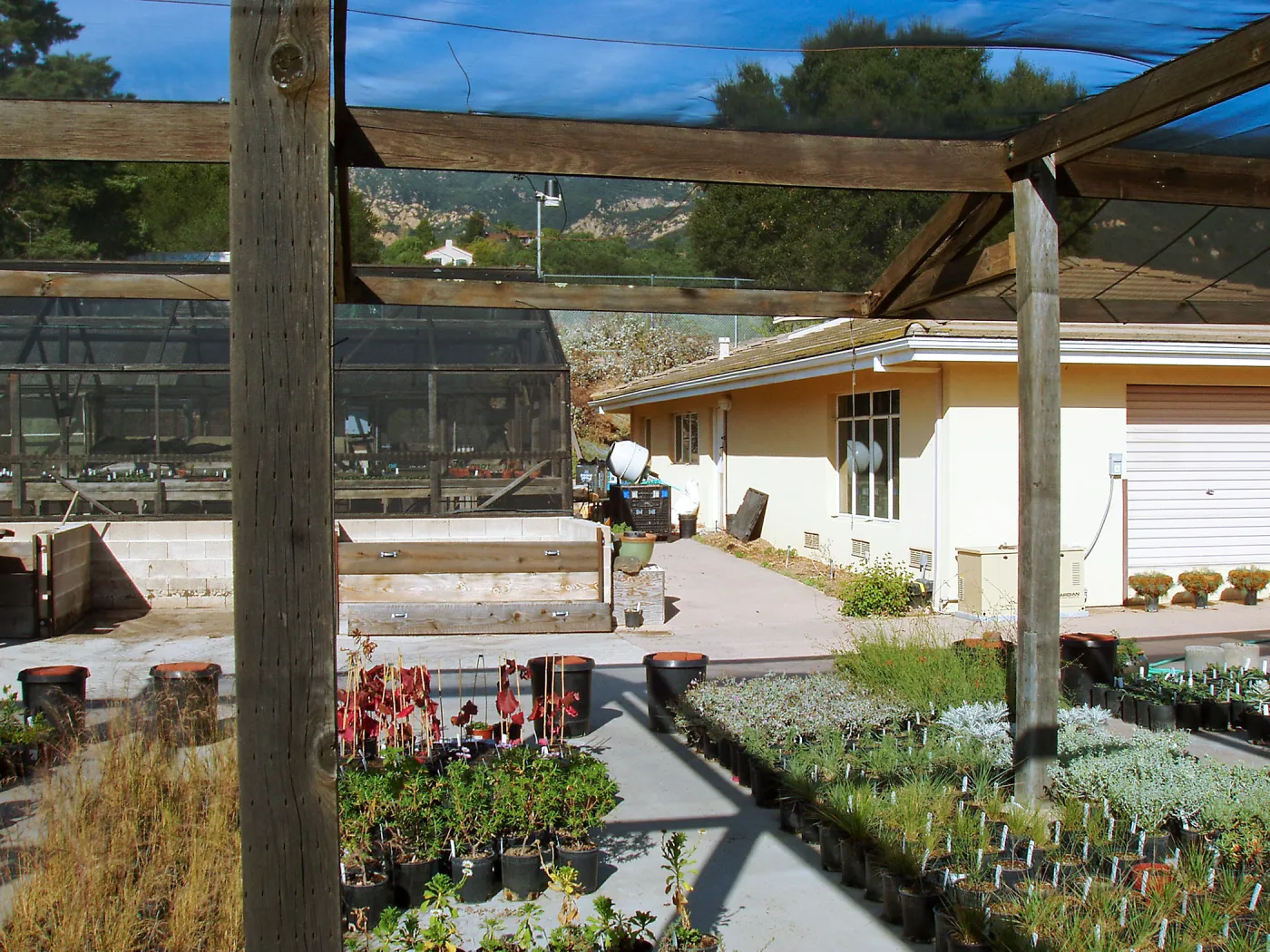Nursery and Horticulture Unit looking north