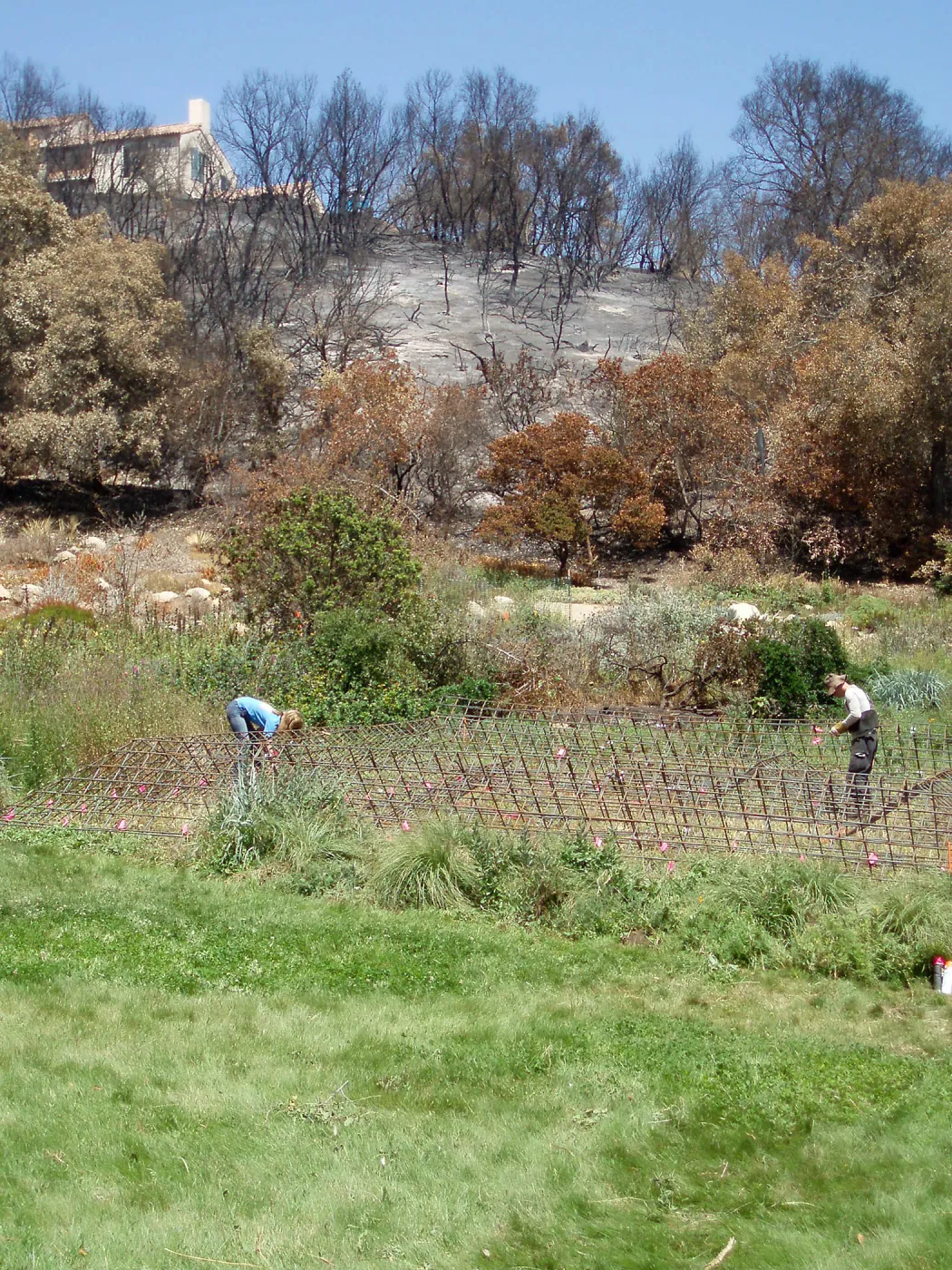 Installation of Herb Parker's â€˜Haven' labyrinth sculpture in Meadow