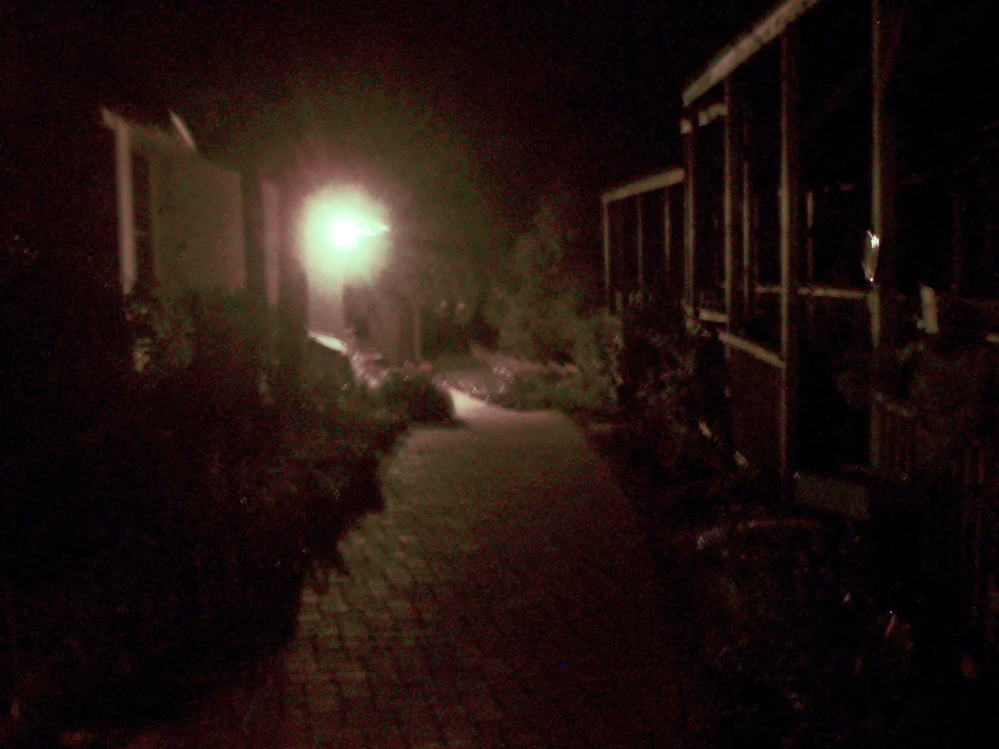Looking south along path to west of Herbarium