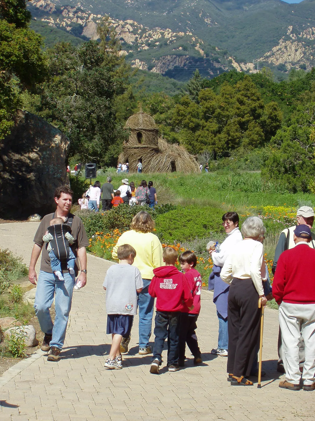Visitors, Meadow, Toad Hall
