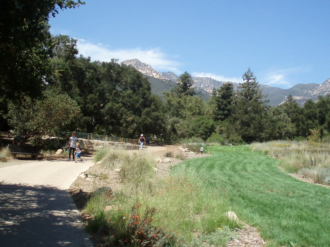 Meadow Terrace construction