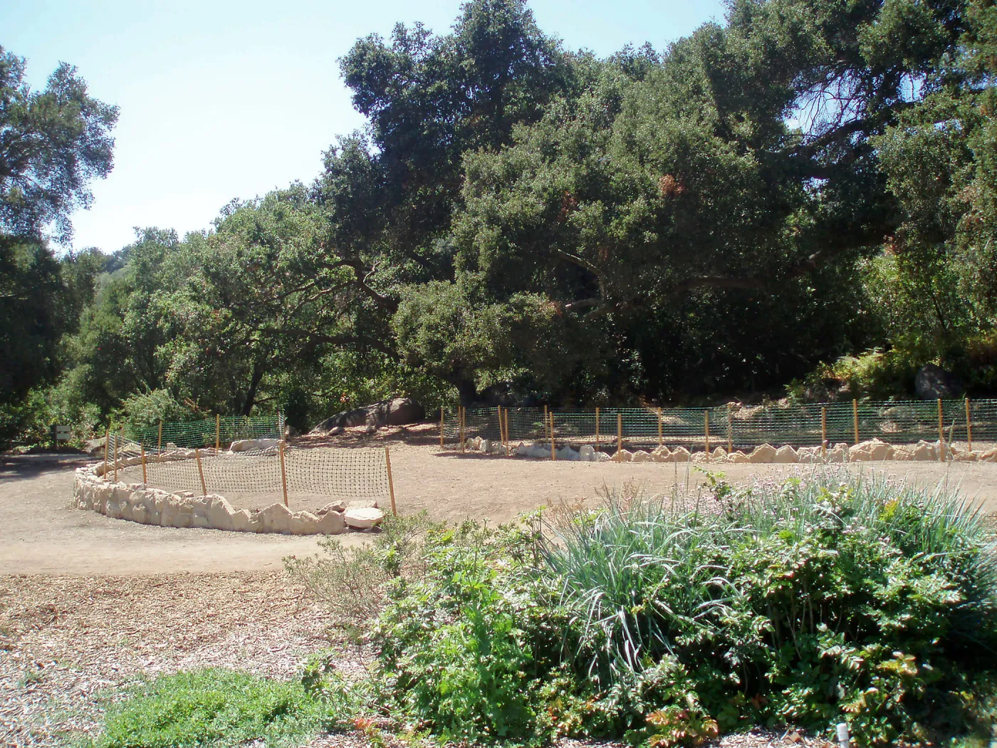 Meadow Terrace construction