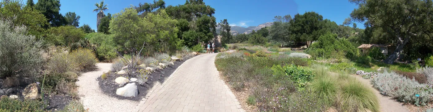 Desert Section and Groundcover Section panorama
