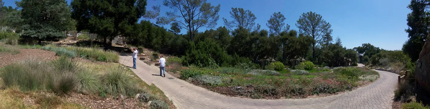 Lower Meadow and Groundcover Section panorama