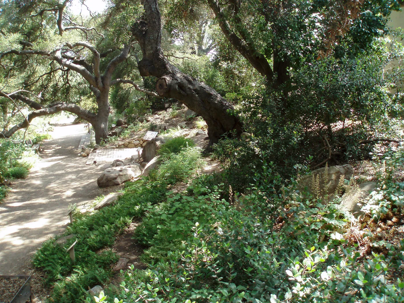 Arroyo Section
