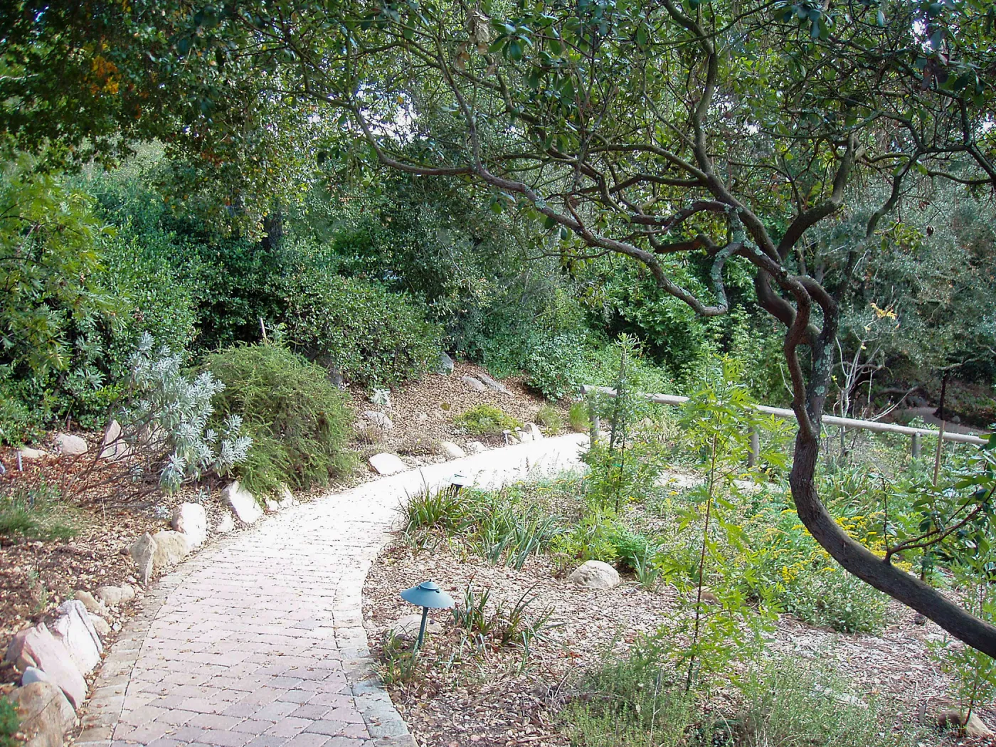 Northeast corner of the Arroyo Section, looking south