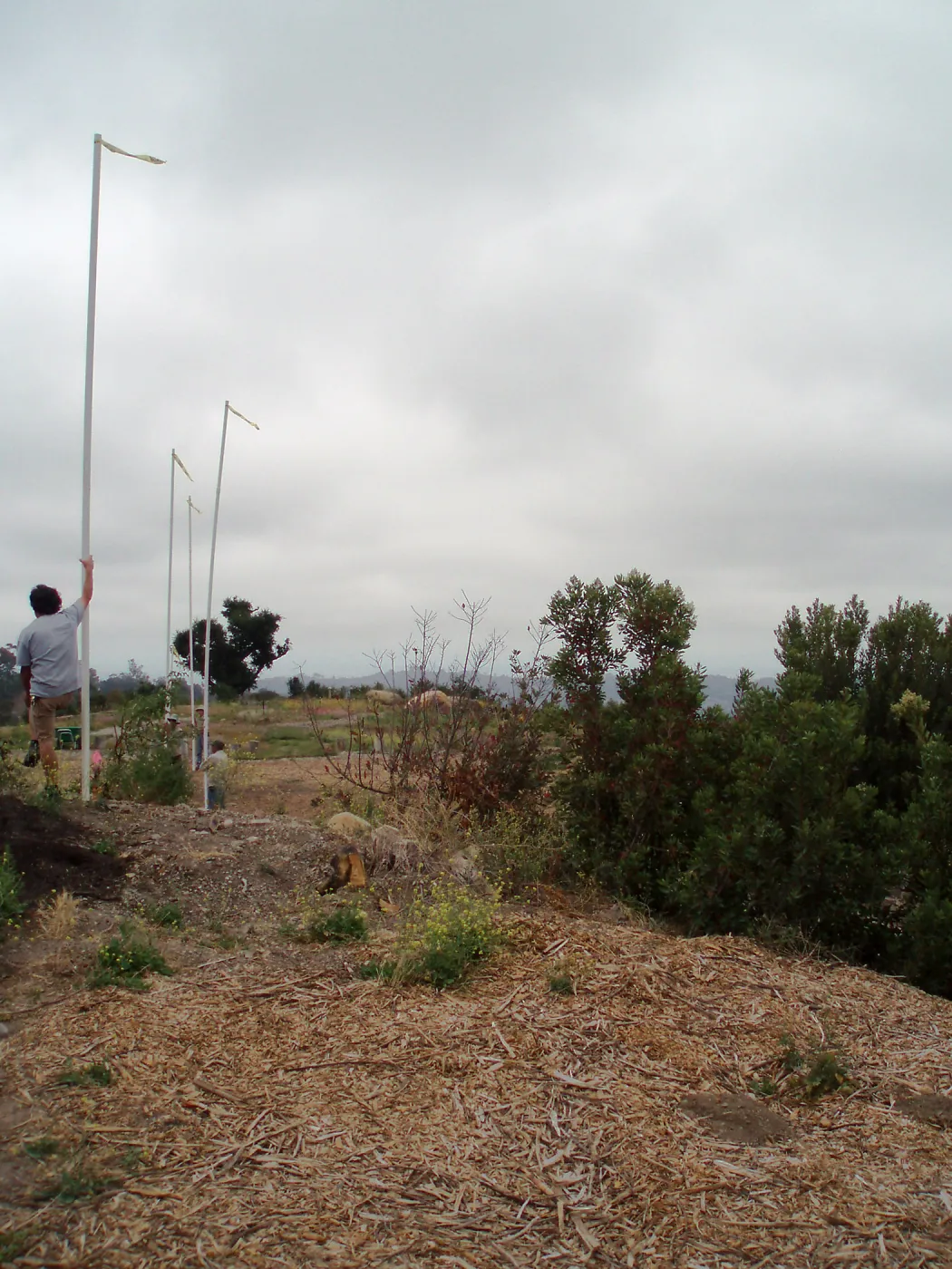 Pritzlaff Conservation Center story poles