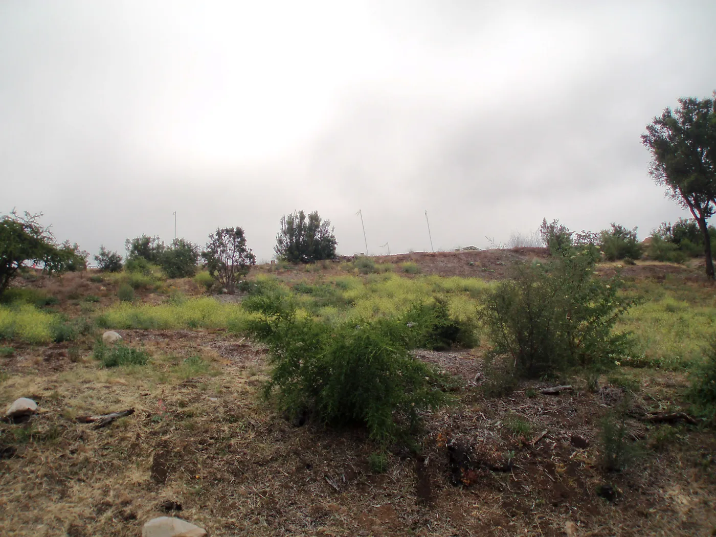 Pritzlaff Conservation Center story poles, view from Mission Canyon Road