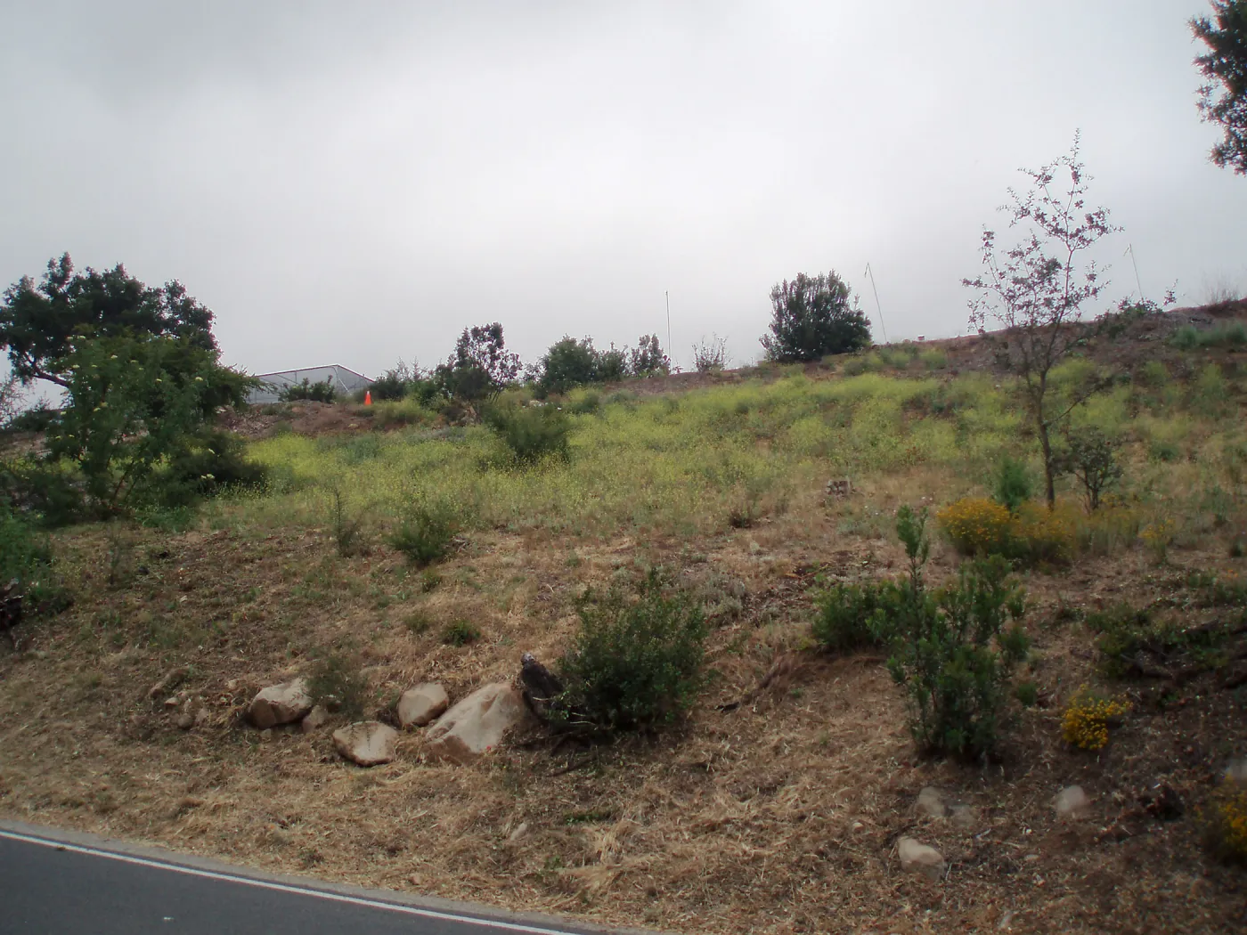 Pritzlaff Conservation Center story poles, view from Mission Canyon Road