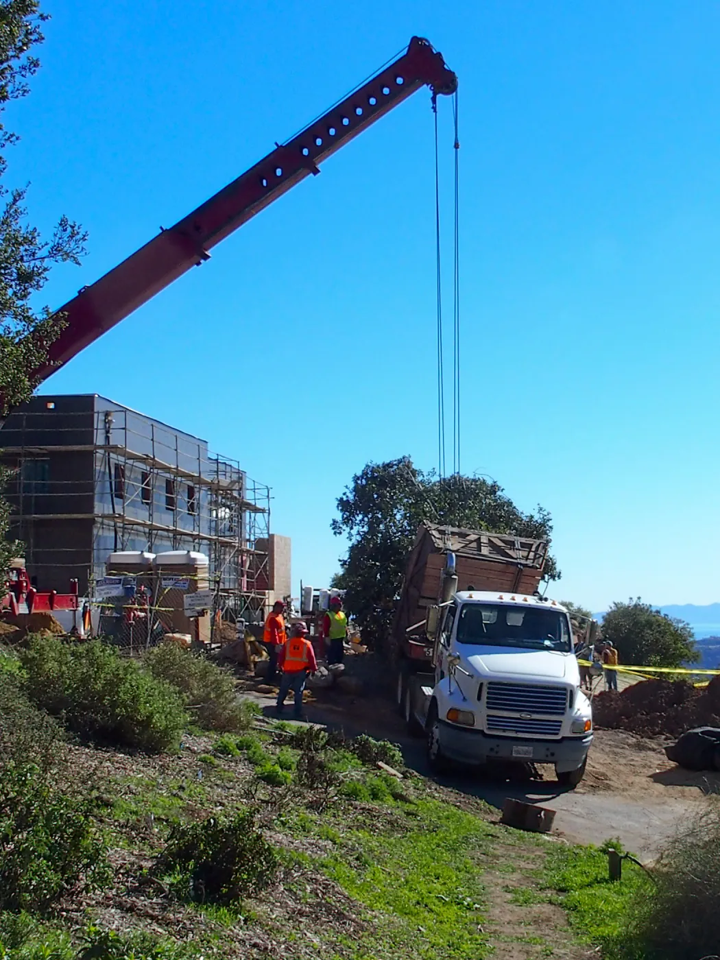 Installation of Island Oaks, flanking the entrance to the new Island Section at the Pritzlaff Conservation Center
