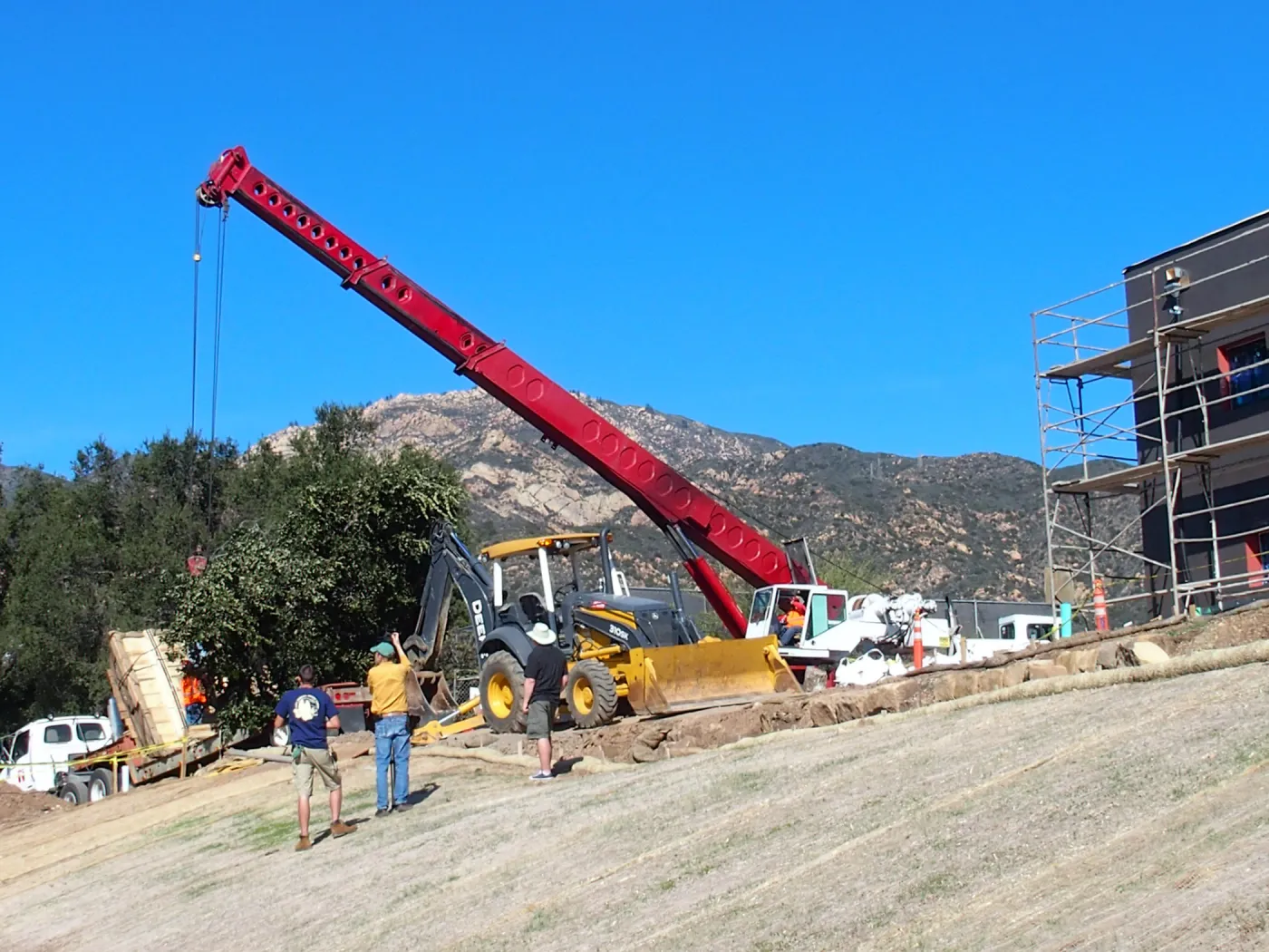 Installation of Island Oaks, flanking the entrance to the new Island Section at the Pritzlaff Conservation Center