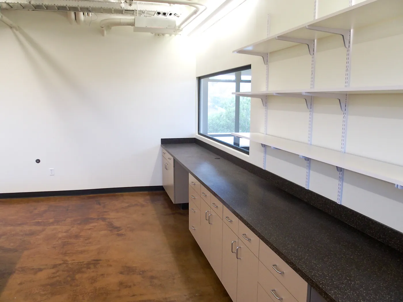 Pritzlaff Conservation Center construction, multipurpose lab