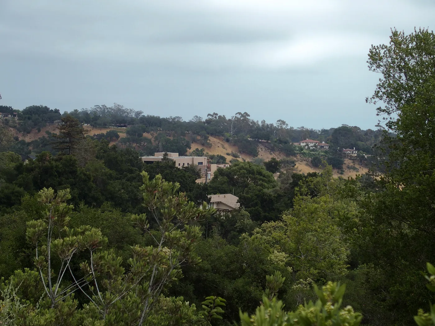 Pritzlaff Conservation Center construction, view from Tunnel Raod looking southeast
