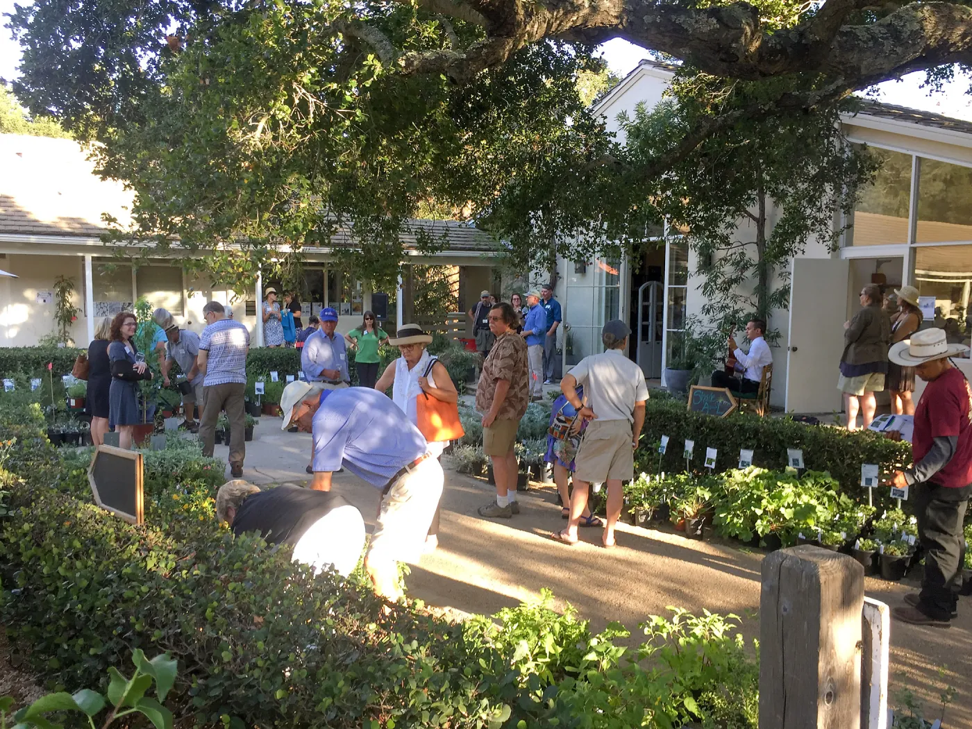 2017 Fall Plant Sale Preview Party