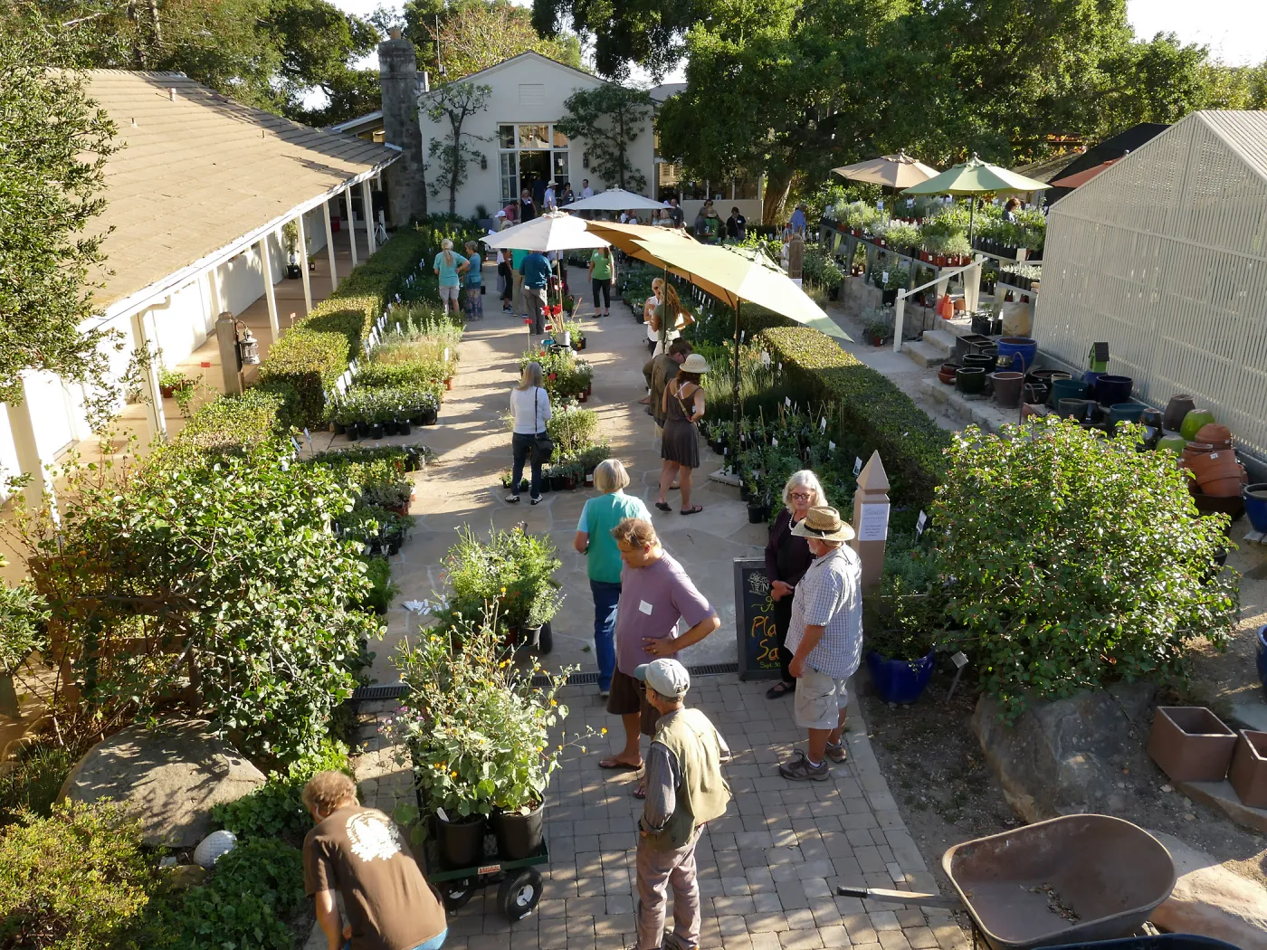 2017 Fall Plant Sale Preview Party