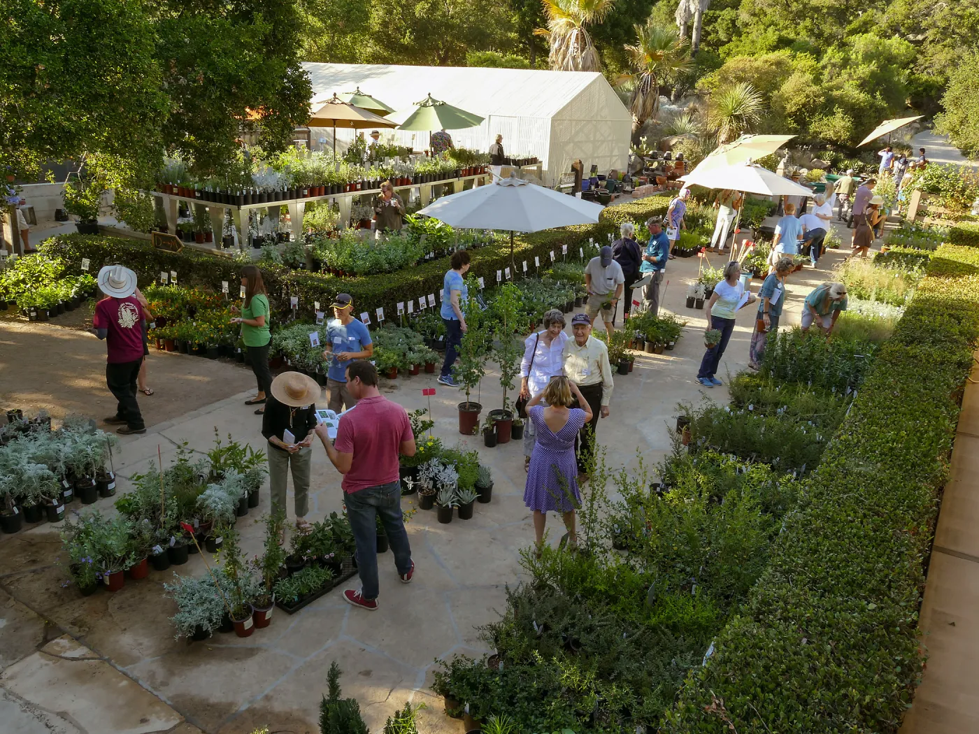 2017 Fall Plant Sale Preview Party