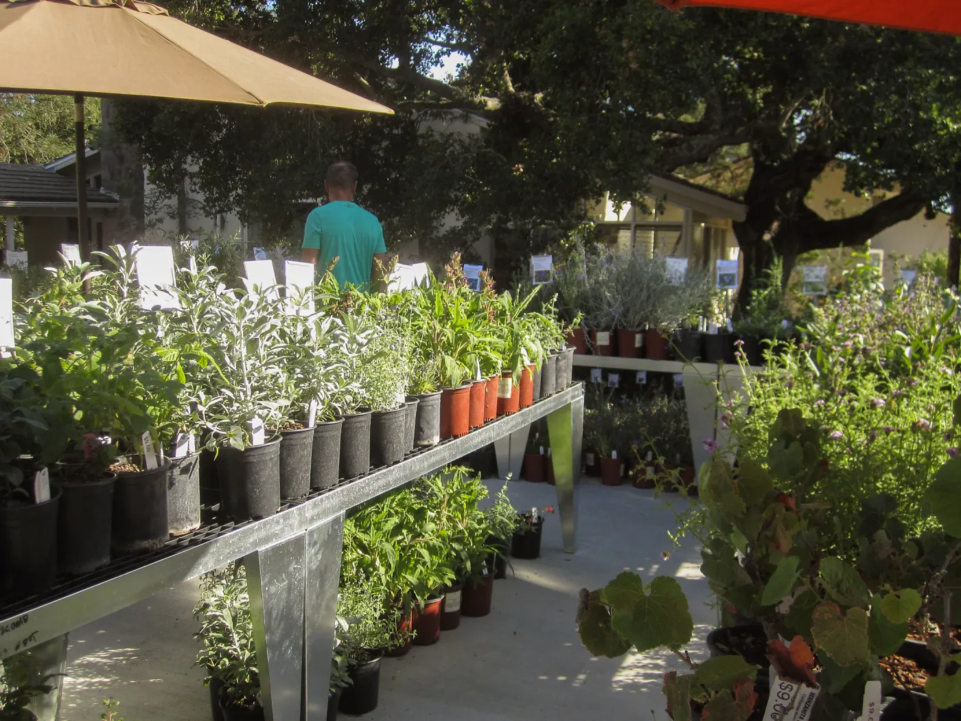 2017 Fall Plant Sale Preview Party