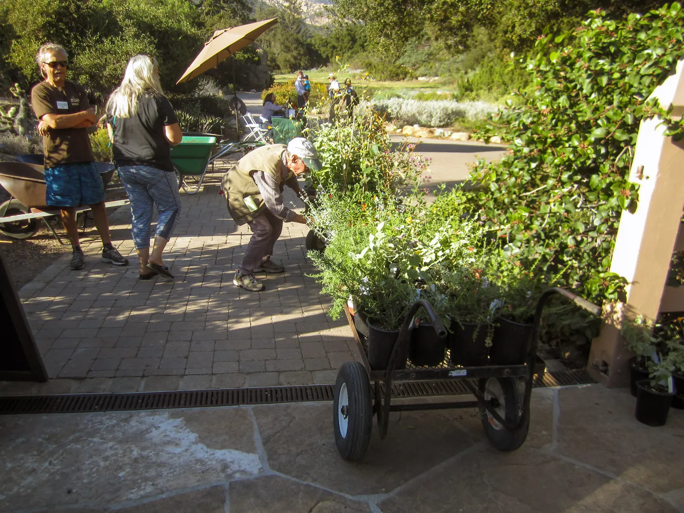 2017 Fall Plant Sale Preview Party