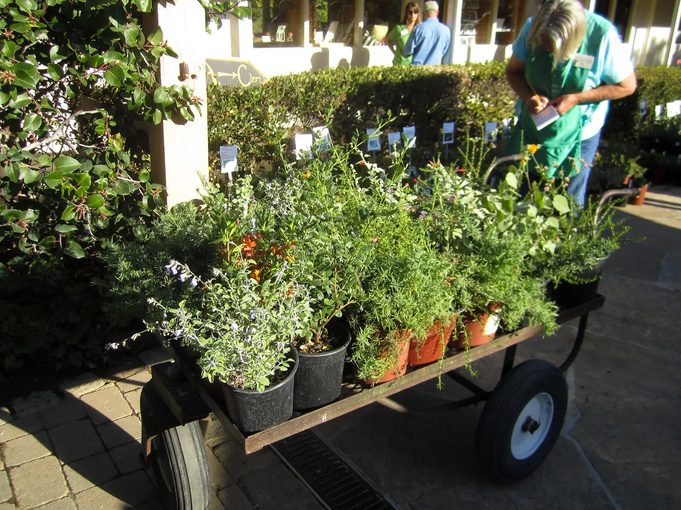 2017 Fall Plant Sale Preview Party