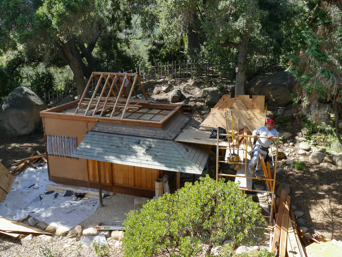Teahouse & Garden Improvements 2017, looking west