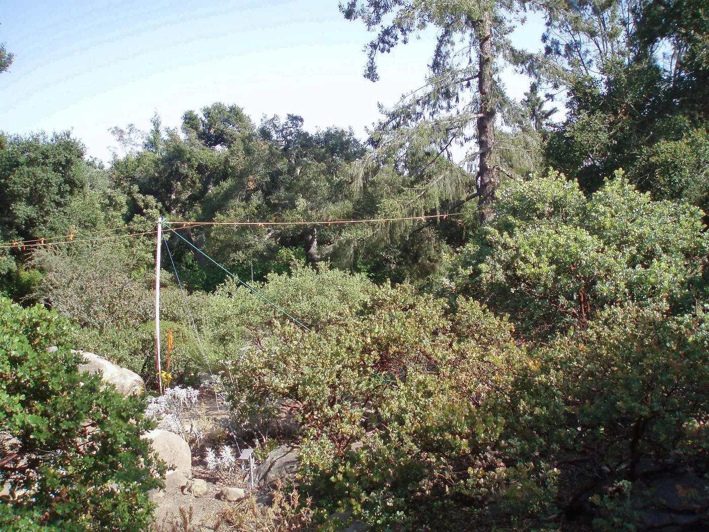 Story Poles, Manzanita Section, Vital Mission Plan