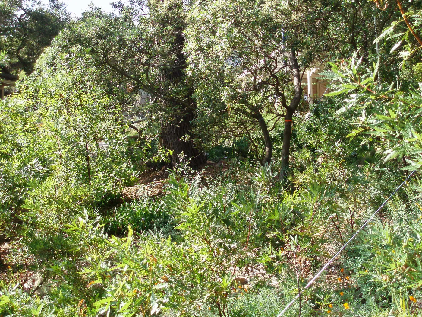Story Poles, Arroyo Section, Vital Mission Plan
