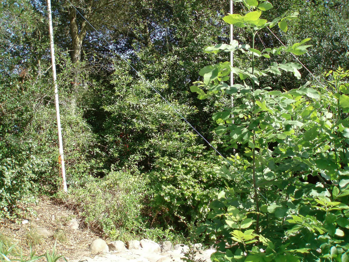 Story Poles, Arroyo Section, Vital Mission Plan
