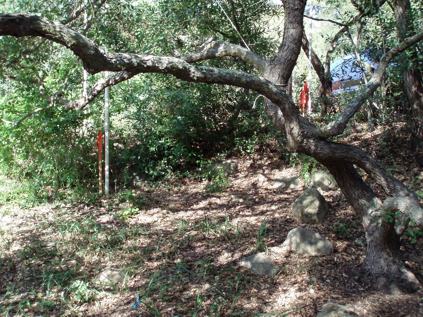 Story Poles, Arroyo Section, Vital Mission Plan