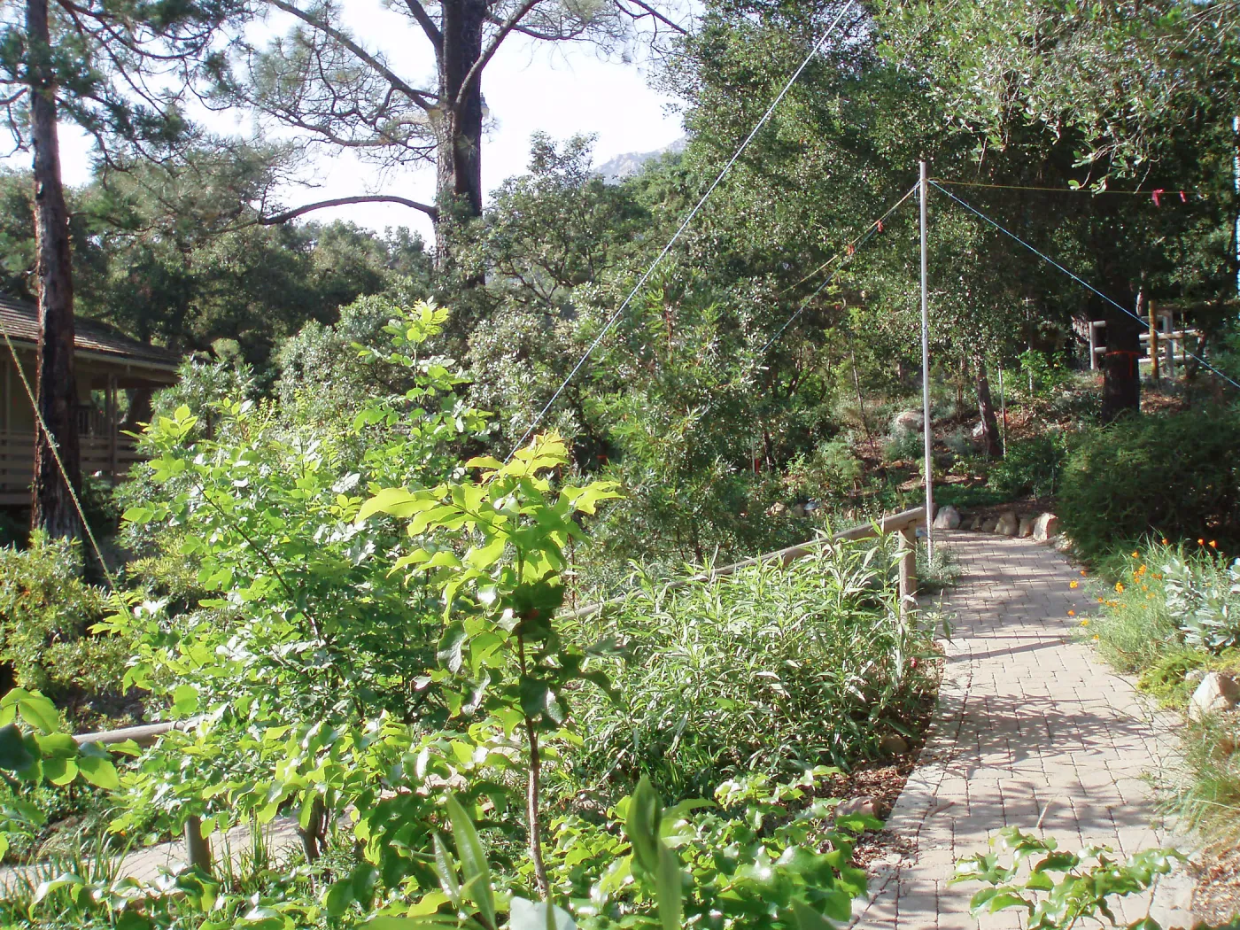 Story Poles, Arroyo Section, Vital Mission Plan