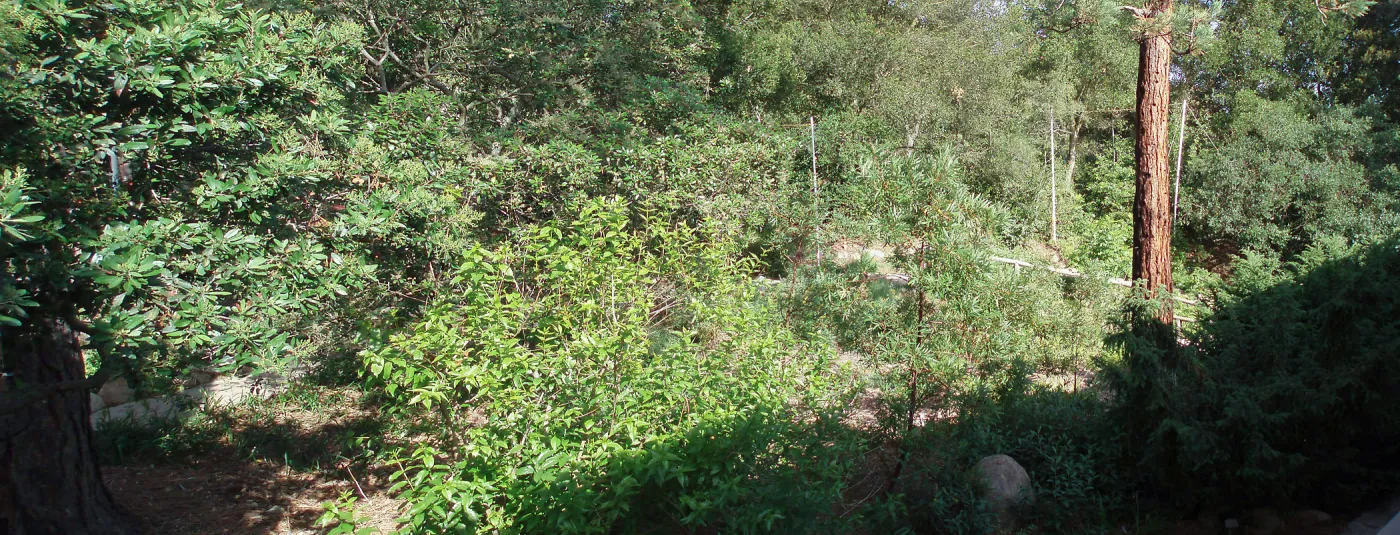 Story Poles, Arroyo Section, Vital Mission Plan