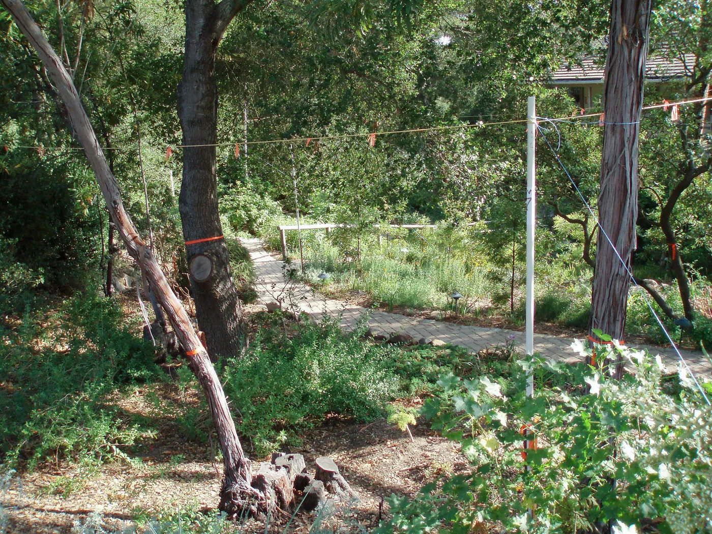 Story Poles, Arroyo Section, Vital Mission Plan