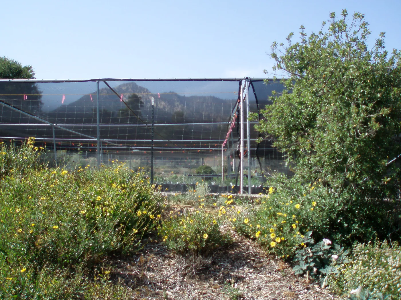 Story Poles, Garden Growers Canyard, Vital Mission Plan