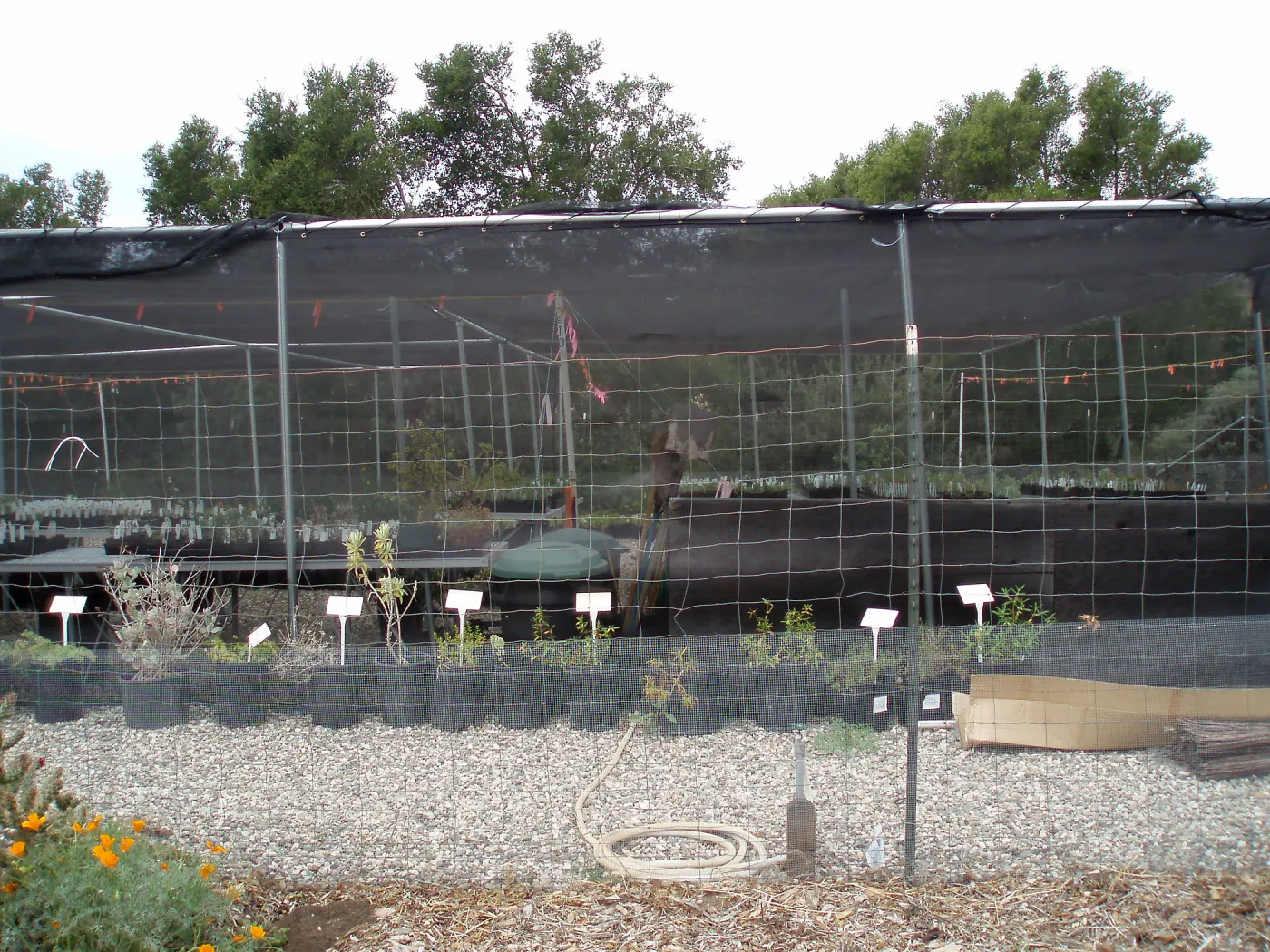 Story Poles in Garden Growers Canyard, Vital Mission Plan