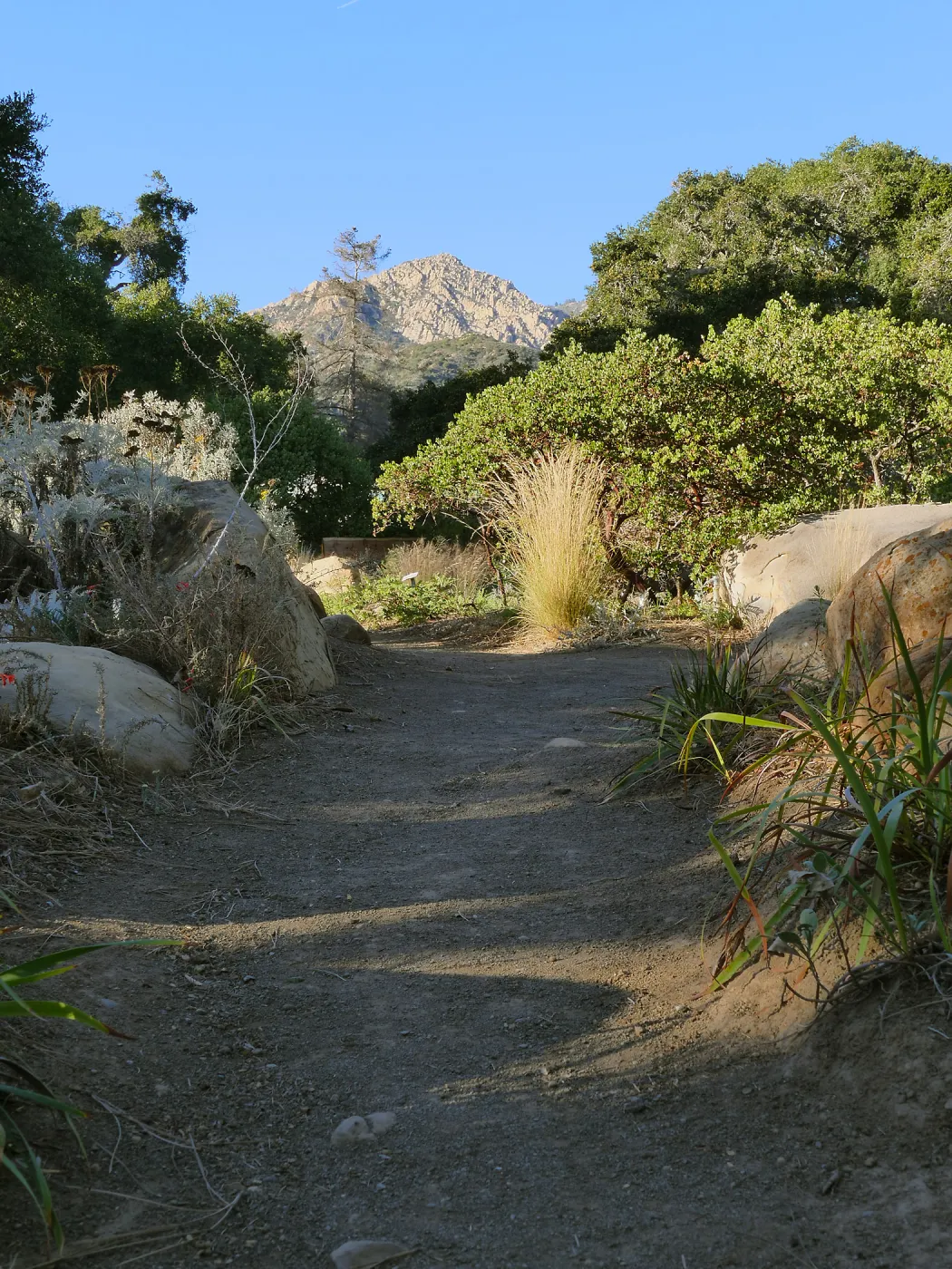 Looking north across Manzanita section towards Arlington Peak