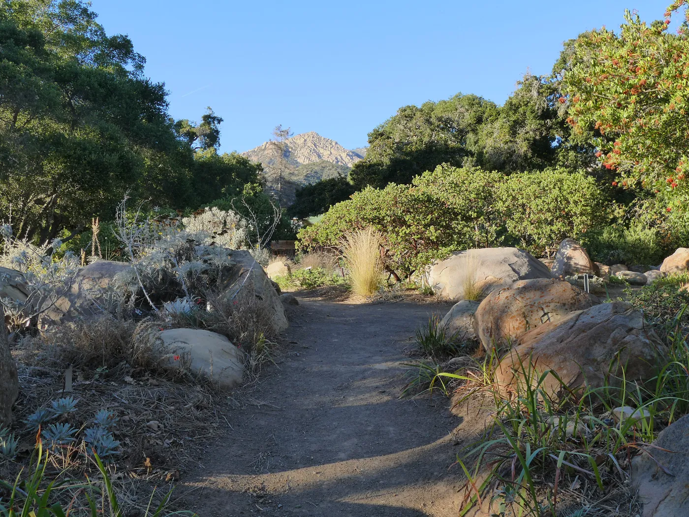 Looking north across Manzanita section towards Arlington Peak