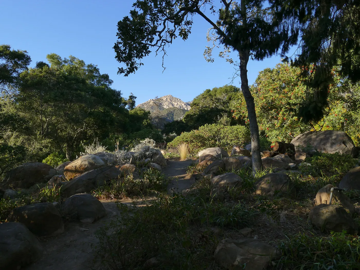 Looking north across Manzanita section towards Arlington Peak