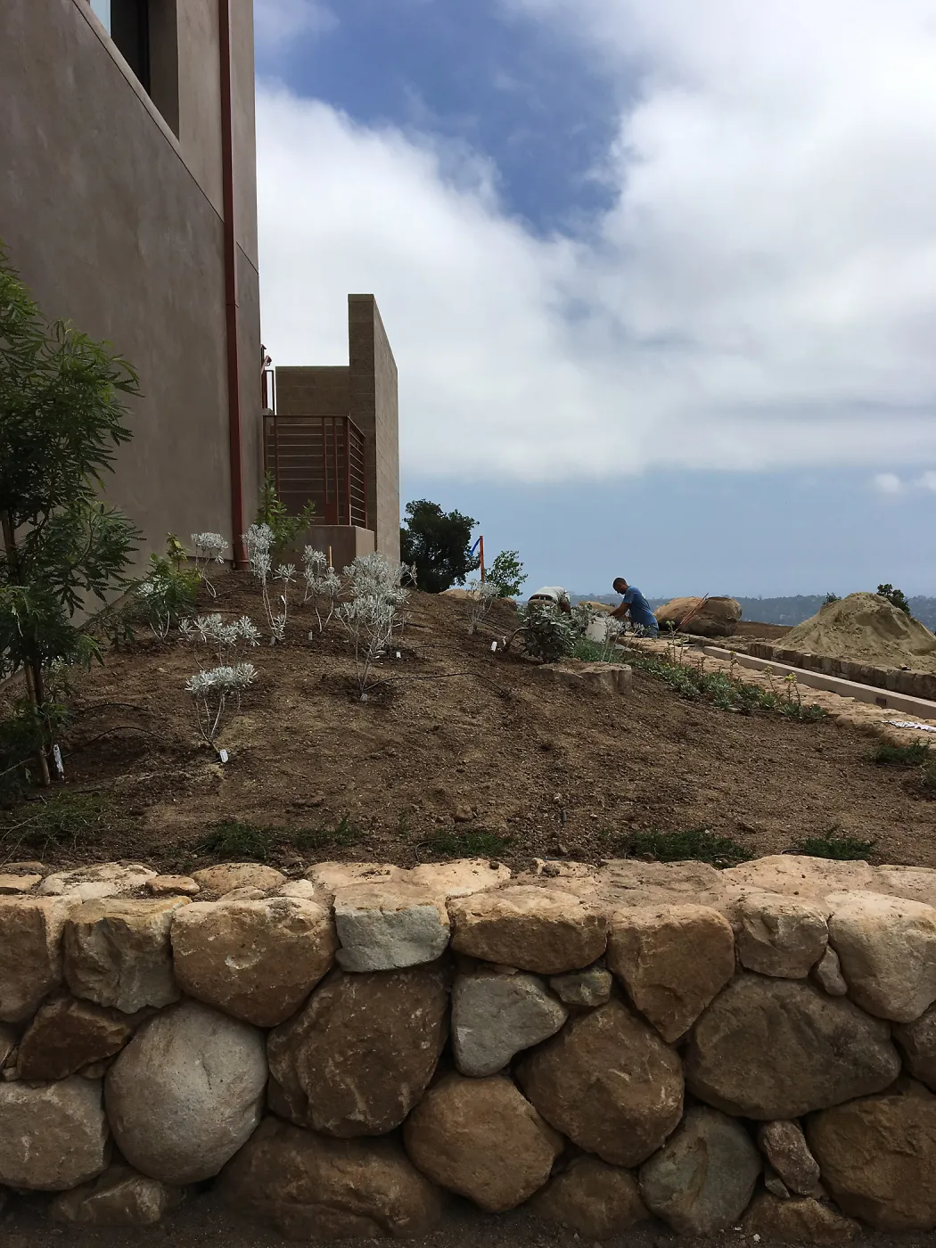 Planting the Island View Garden at the Pritzlaff Conservation Center