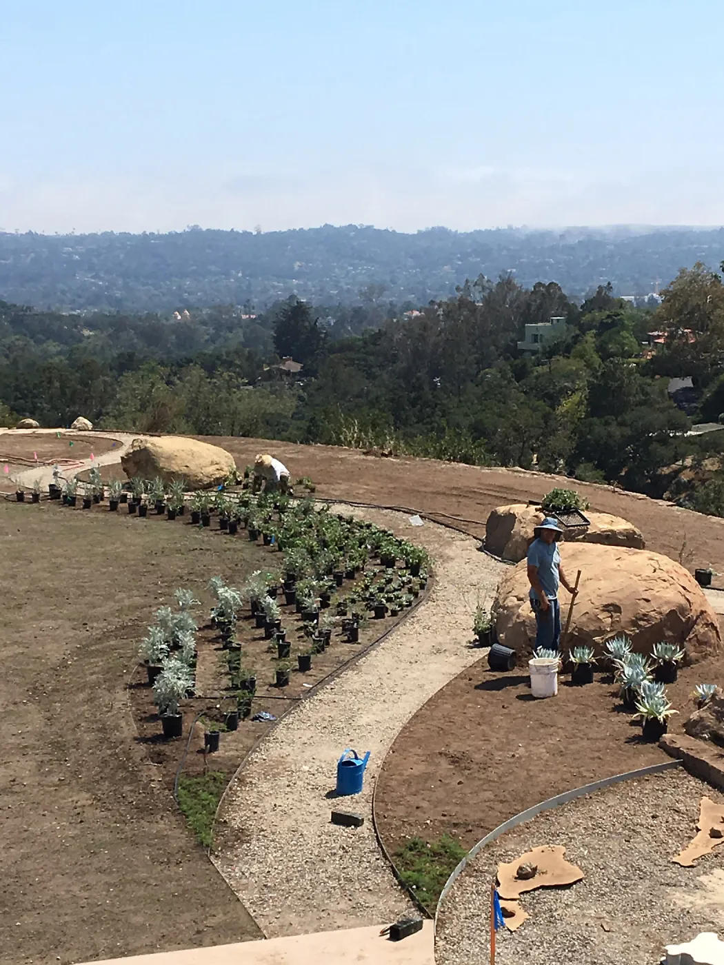Planting the Island View Garden around the new lawn