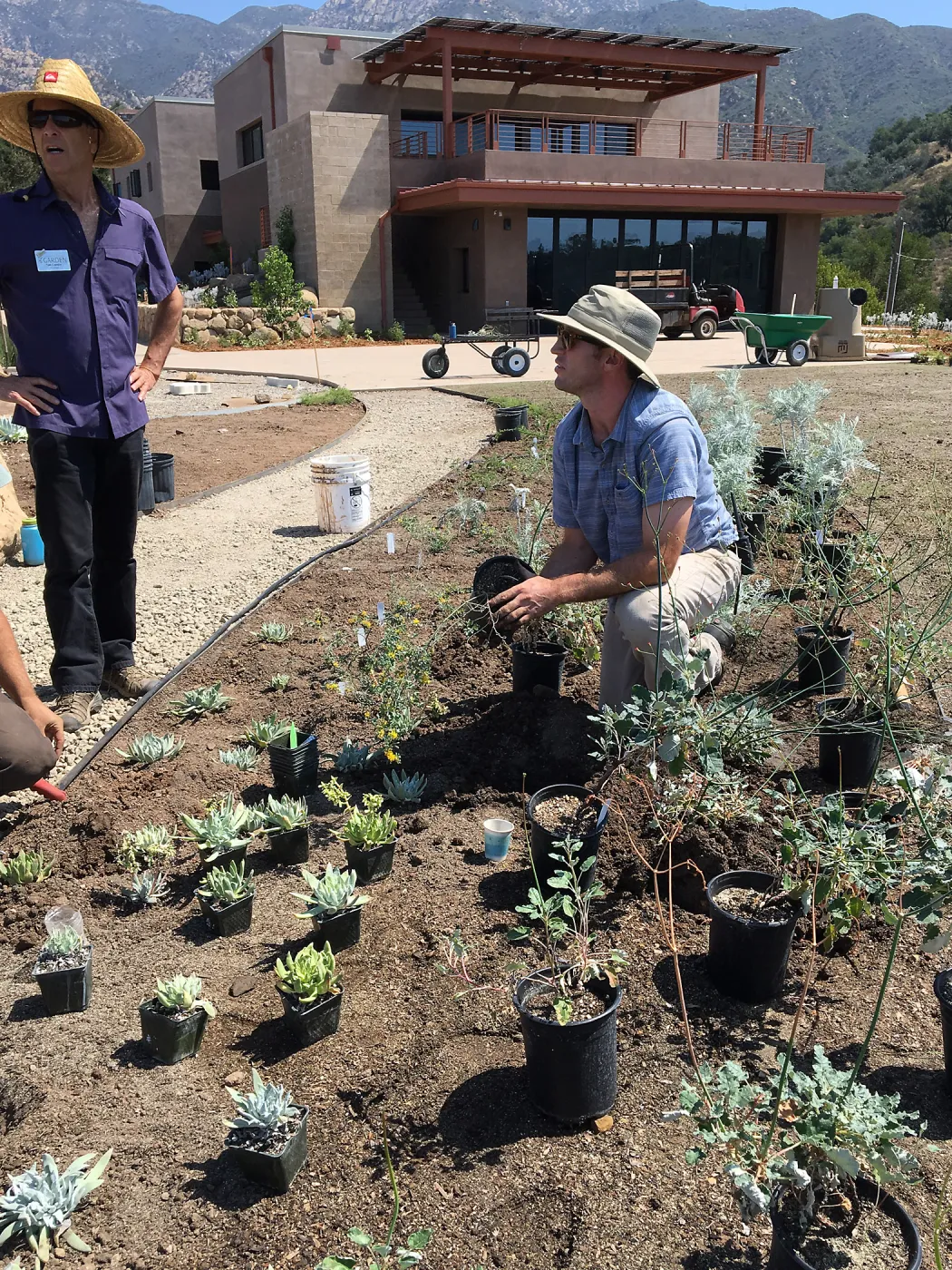Planting the Island View Garden around the new lawn
