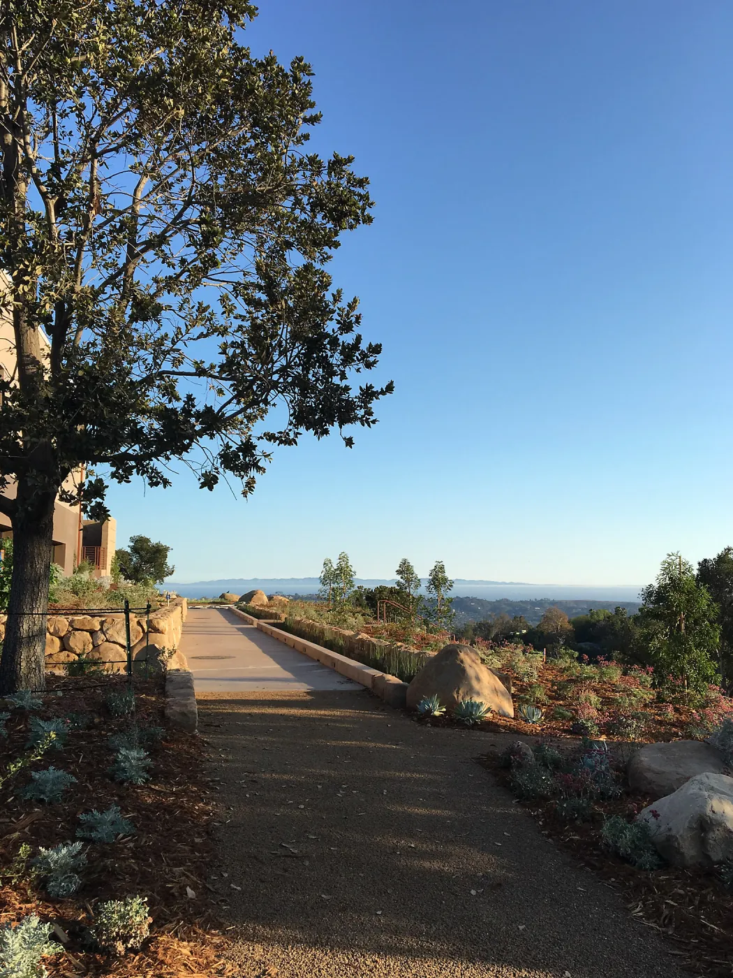 Island View Garden west side looking toward ocean and Santa Cruz Island