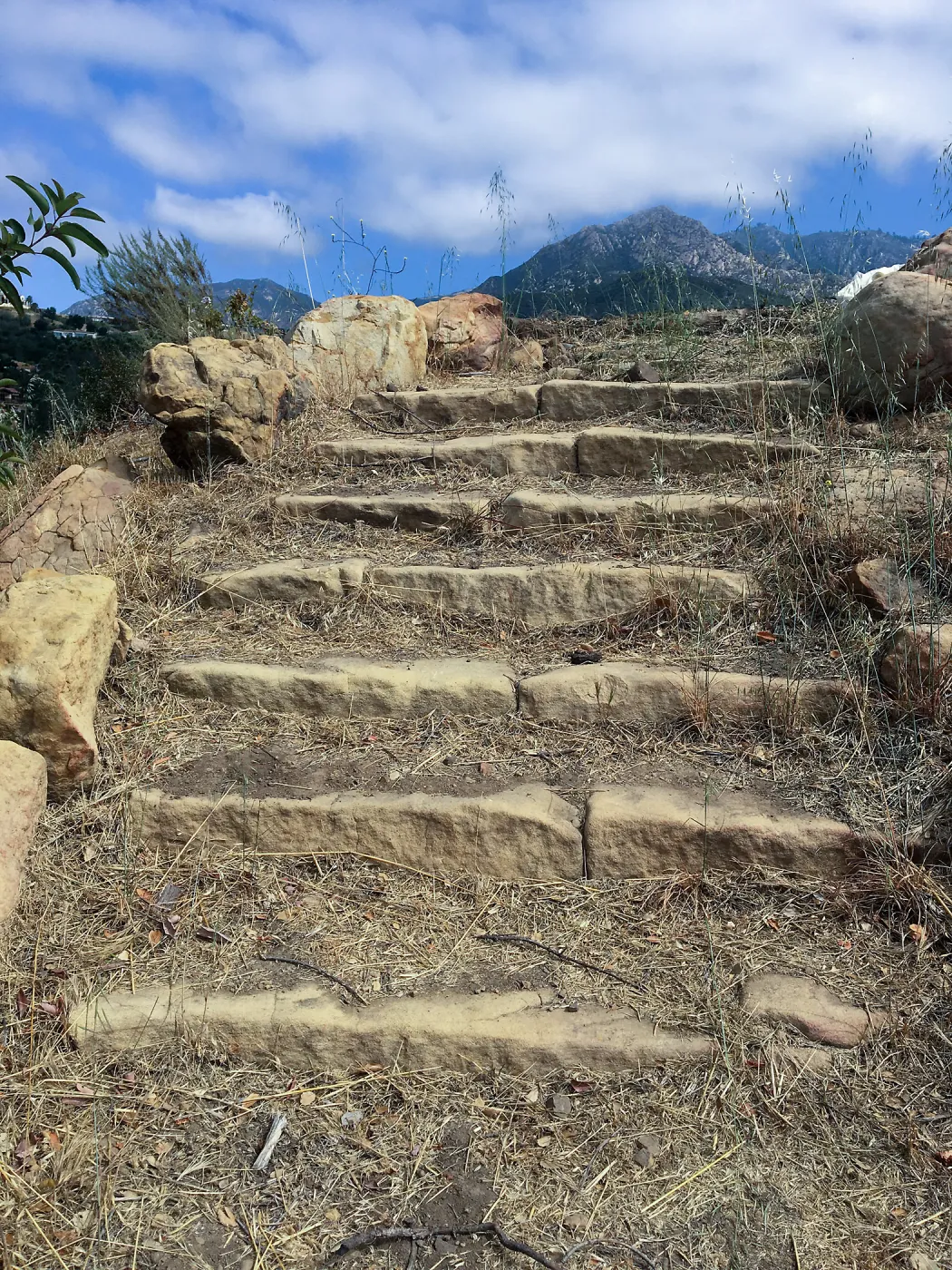 Before reconstruction of stairs down south slope of Island View Garden