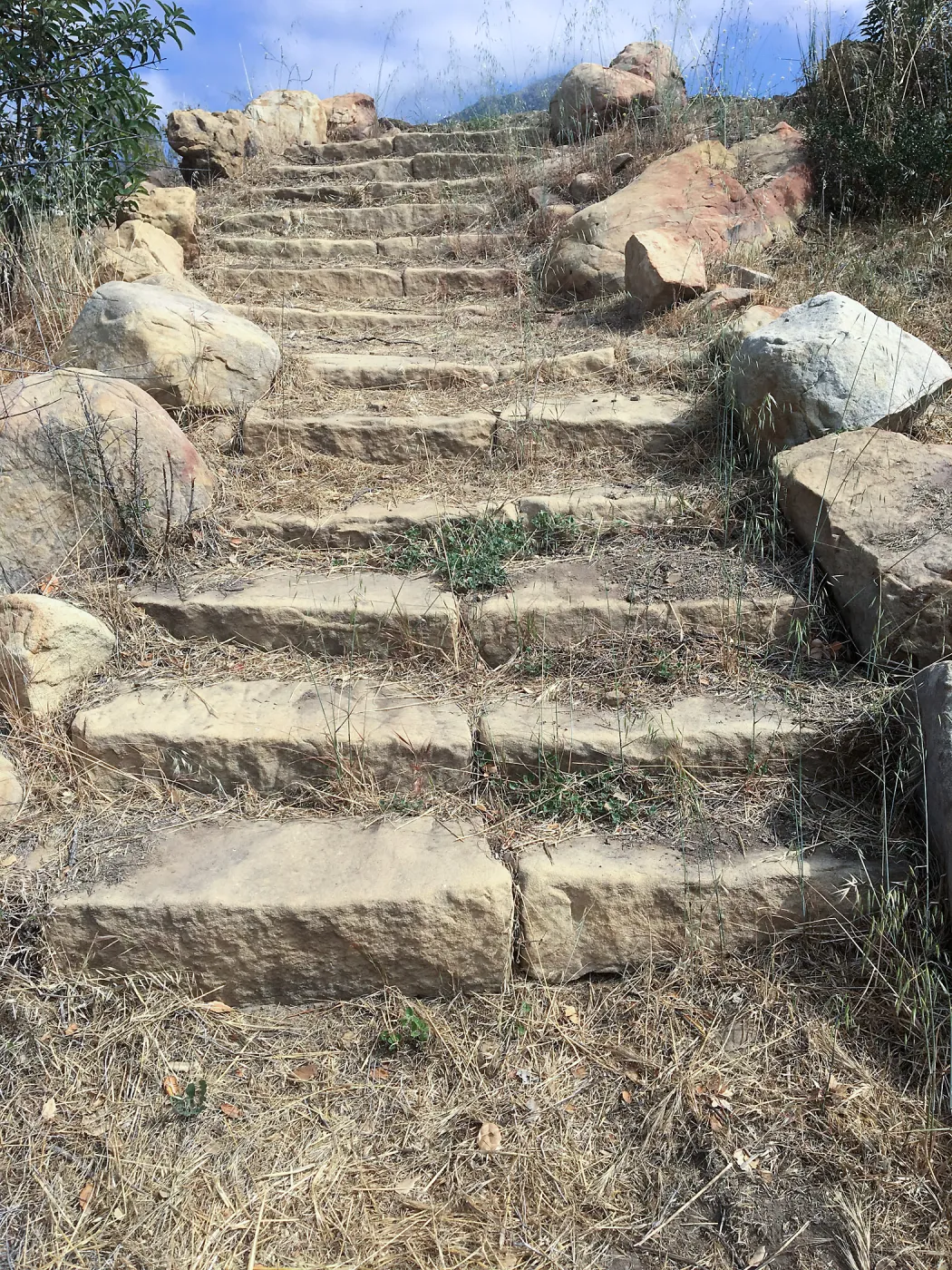 Before reconstruction of stairs down south slope of Island View Garden