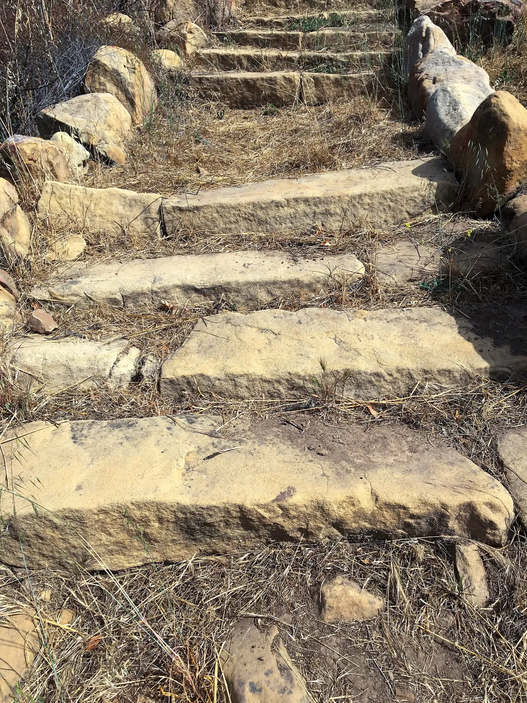 Before reconstruction of stairs down south slope of Island View Garden
