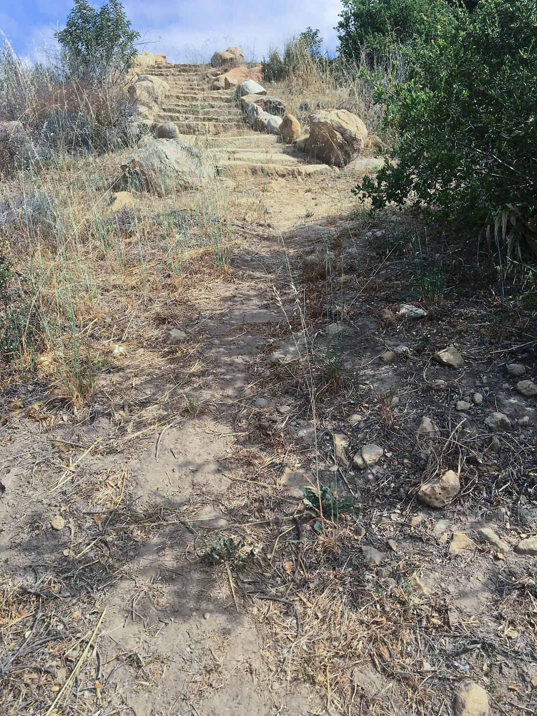 Before reconstruction of stairs down south slope of Island View Garden